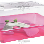 2GR TARTARUGHIERA ELBA