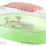 2GR TARTARUGHIERA SAMMY