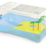 RAGGIO DI SOLE TARTARUGHIERA MARTINICA