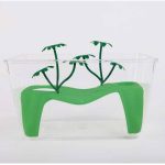 TARTARUGHIERA PANAREA MEDIA