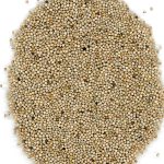 RAGGIO DI SOLE  PERILLA 1KG