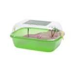 2GR TARTARUGHIERA DAFFY