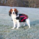 TRIXIE ZAINETTO PER CANI TG.L 28x18CM COLORE NERO