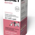 ERMET DERMA DERMATOSI FLACONE 30ML