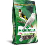 MANITOBA ALTA GERMINAZIONE 2,5KG