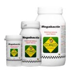 ORNITALIA MEGABACTIN 300GR