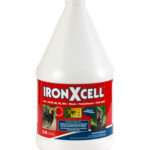 IRON X CELL 1,2L (ferro e vitamina B)
