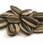 RAGGIO DI SOLE GIRASOLE STRIATO PICCOLO 1KG