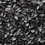 GARVO GIRASOLE NERO 1KG