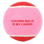 d LG CK DOG GIO PALLA TENNIS CHASE ME XL ROS/ROSA 12,7CM
