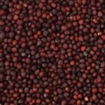 ORNITALIA RAVIZZONE 5 KG