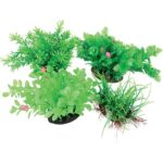 ZOLUX PIANTA ACQUA SET-A MD 1PZ