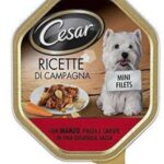 d CSR RICETTE CAMP. MAN/PAS/CAR 150G