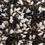 ORNITALIA MISCELA GREG GERMINABILE CARDELLINI MAJOR 5KG