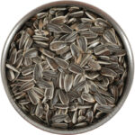 RAGGIO DI SOLE GIRASOLE STRIATO GRANDE 1KG