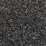 VERSELE-LAGA GIRASOLE NERO NANO/PICCOLO 1KG