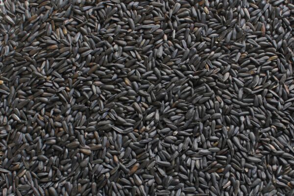 VERSELE-LAGA GIRASOLE MICRO 1KG CARDELLINI