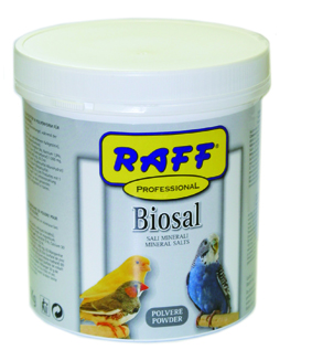 RAFF PROFESSIONAL BIOSAL POLVERE 1KG