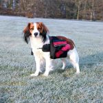 TRIXIE ZAINETTO PER CANI TG.L 28x18CM COLORE NERO