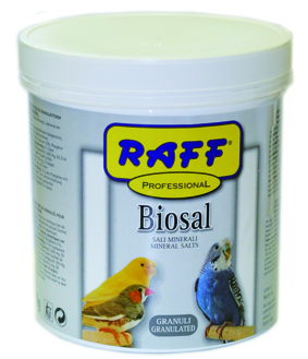 RAFF PROFESSIONAL BIOSAL GRANULI 1KG
