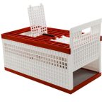 GABBIA TRASPORTO COLOMBI 60X30