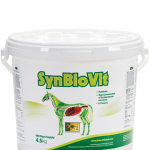 SYNBIOVIT 900GR (tratto intestinale)
