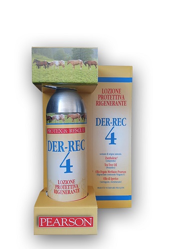 DER REC 4 DERMATITE RECIDIVA ESTIVA 250ML