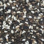 ORNITALIA MISCELA GREG GERMINABILE CARDELLINI MAJOR 1KG