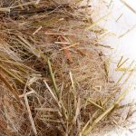 SISAL FIBRE MISTO PER PSITTACIDI CON FORMULA ATTIVA 250GR