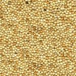 RAGGIO DI SOLE MIGLIO BIANCO 1KG