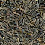 RAGGIO DI SOLE NIGER 1KG