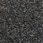 VERSELE-LAGA GIRASOLE NERO NANO/PICCOLO 15KG