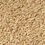RAGGIO DI SOLE AVENA DECORTICATA 1 KG