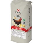 PURINA CORTILE UNICO POLLI SBRICIOLATO 20KG
