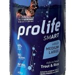 PROLIFE DOG SMART TROUT & RICE 400GR