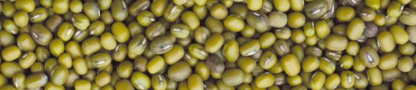 CEREAL FARINE KATIANG JODE (AZUKI) MASSIMA GERMIN. 1 KG