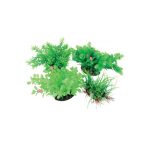 ZOLUX AEROPLANT CON DIFFUSORE VERDE M