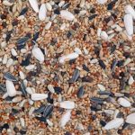 ORNITALIA MISCELA PARROCCHETTI CON GIRASOLE 20KG