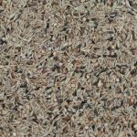 ORNITALIA SEMI DELLA SALUTE SELEZIONATI 15KG