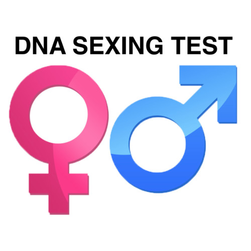 SESSAGGIO PER DNA DA 1 A 9 CAMPIONI (PREZZO PER UN SESSAGGIO)