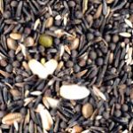 MANITOBA ALTA GERMINAZIONE 1KG