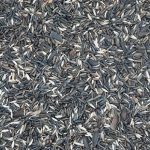 ORNITALIA MISCELA GREG CARDELLINI, FANELLI, NEGRITI E TRISTIS 1KG