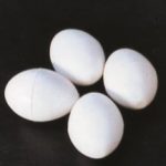 VERSELE-LAGA UOVA PLASTICA PIENE PER COLOMBI