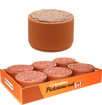 VERSELE-LAGA COLOMBINE PIETRA IN CIOTOLA ROSSA PACCO 5+1 3,9KG