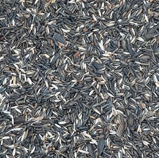 ORNITALIA MISCELA GREG CARDELLINI, FANELLI, NEGRITI E TRISTIS 20KG