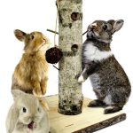 JR ALBERELLO INTERATTIVO NATURALE PER RODITORI 1PZ