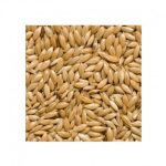 RAGGIO DI SOLE CANARY SEED EXTRA - SCAGLIOLA EXTRA VENTILATA 1KG