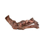 ZOLUX RADICI PALETUVIERE GM 40/60CM