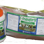 CHEMIFARMA E-FRUBAFERTIL 3KG