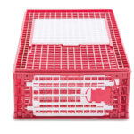 ARION FASOLI GABBIA TRASPORTO POLLI MOD.B1 1 PORTA SUPERIORE 95,5x57x32,5h CM